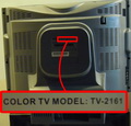 Vivax model